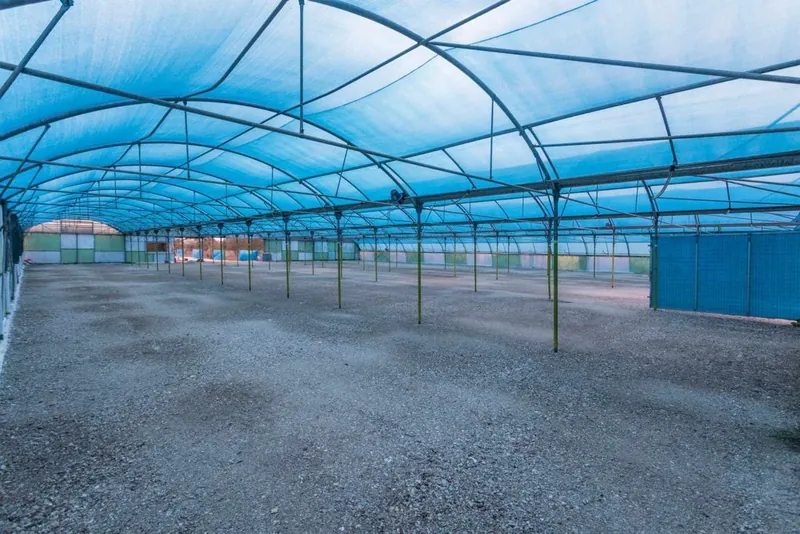 The shaded parking area at K1 Parking under the blue netting