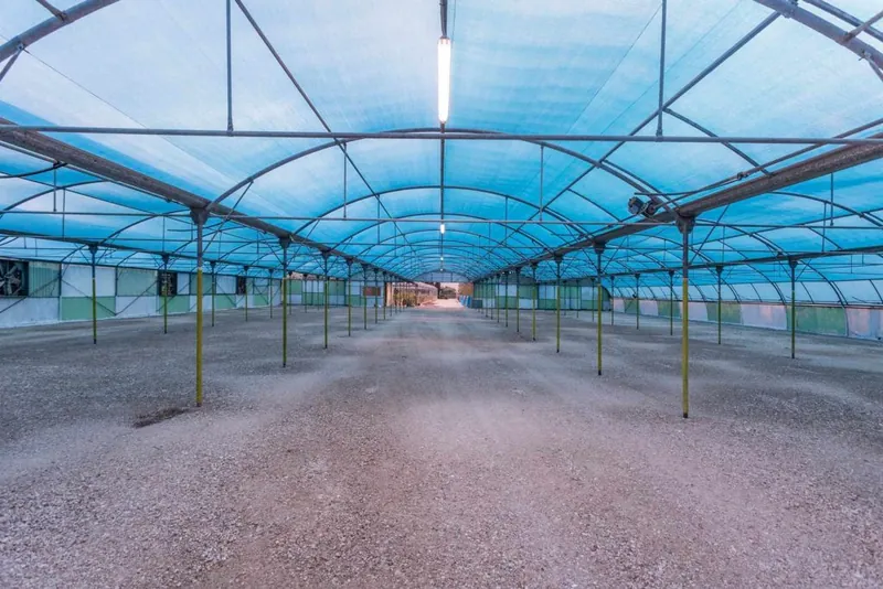 Parking bays at K1 Parking under the shade netting