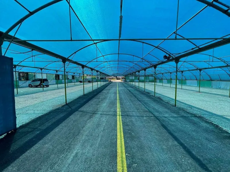 The shaded parking aisle with its yellow centre line